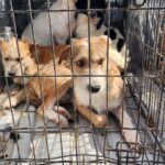 697a7cf21c627 697a7cf21c628