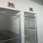 WhatsApp Image 2026 01 07 at 12.54.51 PM 2