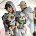 WhatsApp Image 2026 01 24 at 9.44.14 PM