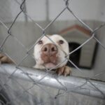 6998de74ae6a1 6998de74ae6a2