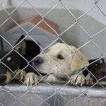 6998de74b0ceb 6998de74b0cec