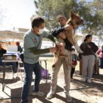 699a11603bcae 699a11603bcaf