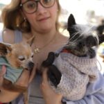 699a1160a72dc 699a1160a72de