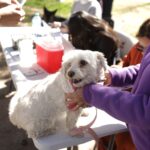 699a1160a7825 699a1160a7826