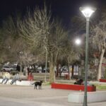 69a11f6f82da6 69a11f6f82da8