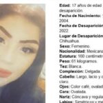 WhatsApp Image 2026 02 13 at 12.09.35 PM