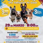 69c6d25c6ba12 69c6d25c6ba13