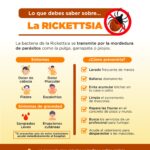 69d6a2d907fd1 69d6a2d907fd3