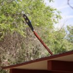 69f250abc9c7d 69f250abc9c7e