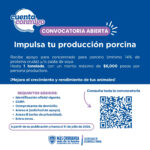 Lanza Estado apoyo para porcicultores con alimento subsidiado 1 8adffd87 3541 4f82 9bbf 2189b862f3cc