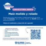 Abre Desarrollo Rural convocatoria de apoyo con maíz para productores pecuarios en Chihuahua 1 WhatsApp Image 2026 04 03 at 11.38.35 AM