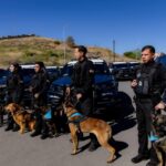 WhatsApp Image 2026 04 07 at 1.00.18 PM 2