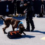 WhatsApp Image 2026 04 07 at 1.00.18 PM 3