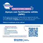 Abre Estado convocatoria de apoyo a fertilizante para agricultores de riego 1 WhatsApp Image 2026 04 09 at 11.20.04 AM