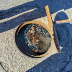 WhatsApp Image 2026 04 21 at 10.41.12 AM 1