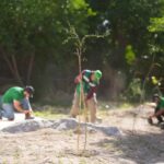 WhatsApp Image 2026 04 24 at 4.46.47 PM 1