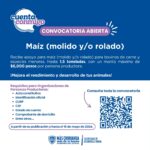 WhatsApp Image 2026 04 29 at 1.27.05 PM