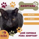 69fe255519657 69fe255519658