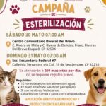 Realizará DABA campaña gratuita de esterilización este fin de semana 1 6a172803f3bdb 6a172803f3bdd