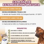 6a2199e67aeca 6a2199e67aecb