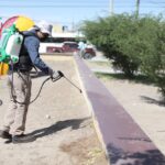 Arrancan Ecología y CANACO fumigaciones contra garrapata en Riberas del Bravo 2 6a35914691a63 6a35914691a64