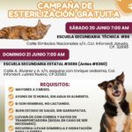 Realizará DABA jornadas masivas de esterilización en dos sectores de Juárez 1 6a3597bc521bc 6a3597bc521bd
