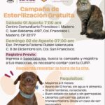 Prepara DABA esterilizaciones gratuitas para mascotas el fin de semana 1 6a6a201221368 6a6a201221369