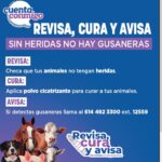 Confirma Chihuahua primer caso de gusano barrenador del ganado 2 WhatsApp Image 2026 07 14 at 4.32.19 PM