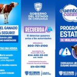 Confirma Chihuahua primer caso de gusano barrenador del ganado 1 WhatsApp Image 2026 07 14 at 4.32.20 PM