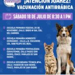 Invita Estado a jornada gratuita de vacunación antirrábica en Ciudad Juárez 1 WhatsApp Image 2026 07 17 at 2.46.10 PM