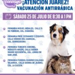 Invita Estado a vacunar contra la rabia a perros y gatos en Ciudad Juárez 1 WhatsApp Image 2026 07 24 at 2.24.32 PM