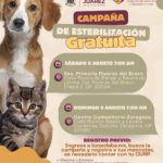 Acerca DABA esterilización gratuita a Riberas y Zaragoza 1 6a737ef07e06d 6a737ef07e06e