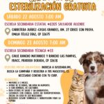 Llevará DABA esterilizaciones gratuitas al Kilómetro 27 y Pradera Dorada 1 6a88800168183 6a88800168187