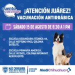 Invita Estado a jornada de vacunación antirrábica para mascotas en Ciudad Juárez 1 WhatsApp Image 2026 08 14 at 2.27.29 PM