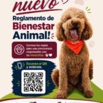 Entra en vigor nuevo Reglamento de Bienestar Animal en Ciudad Juárez 1 6a9888efcf799 6a9888efcf79a