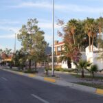 Entregan rehabilitación de camellón en la calle Campestre 1 6aa4c25e86dc6 6aa4c25e86dc8