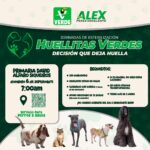 Realizará Partido Verde jornada gratuita de esterilización para perros y gatos en Juárez 1 WhatsApp Image 2026 09 05 at 1.19.37 PM