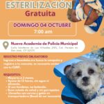 Acercará DABA esterilización gratuita a Parajes de San José 1 6abeb9f084d9a 6abeb9f084d9b