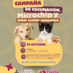 Lleva DABA servicios gratuitos al Kilómetro 31 y colonia Satélite 1 6ac90c5a54c2e 6ac90c5a54c2f