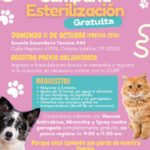 Lleva DABA servicios gratuitos al Kilómetro 31 y colonia Satélite 2 6ac90c5a561c0 6ac90c5a561c1